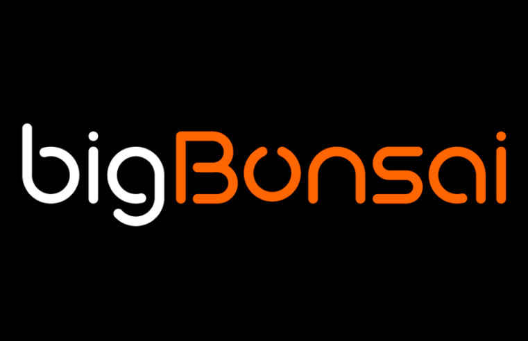 bigBonsai lança série documental no Curta! e revela primeiro longa de ficção e coprodução internacional