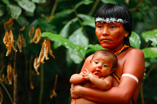 Série “Guerreiros da Floresta” estreia no Canal Futura